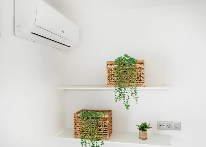 Alex فيلة أذيخي